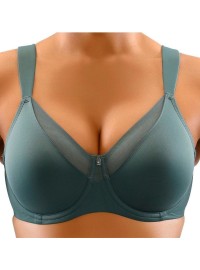 Triumph True Shape Sensation W01 4051