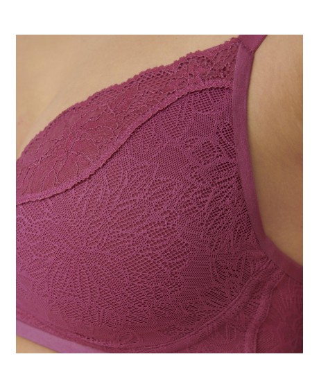 Triumph Fit Smart P 01 EX