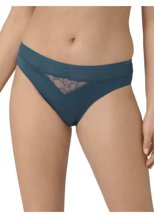 Triumph Azalea Florale Tai 6441