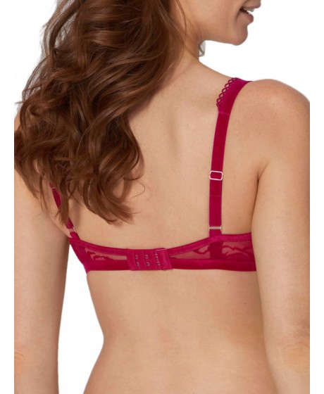 Triumph Velvet Rose Spotlight WHP 2370