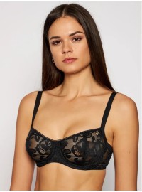 Triumph Illustrated Rose W