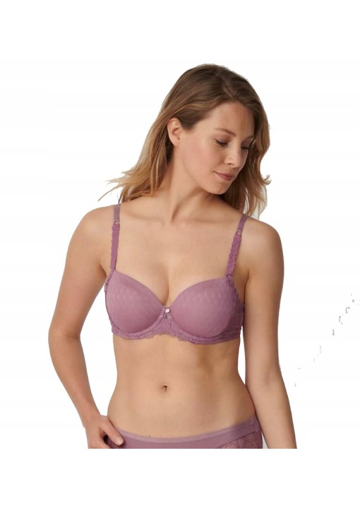 Triumph Azalea Florale WP