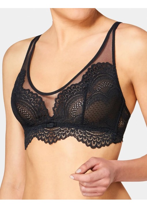 Triumph Darling Spotlight N