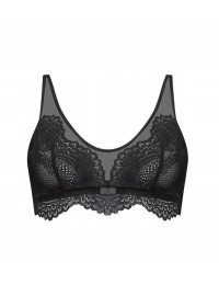 Triumph Darling Spotlight N