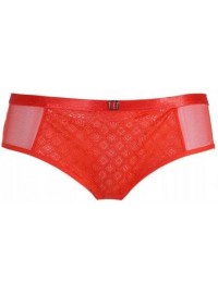 Triumph Ornamental Lace Hipster