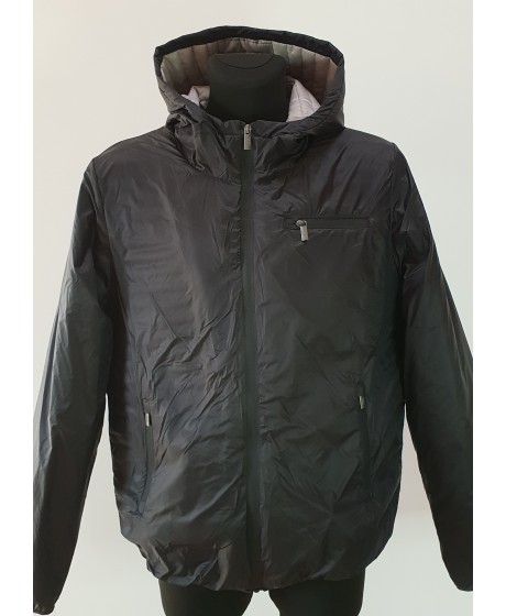 SKY REBEL vyriška striukė (padidinta)