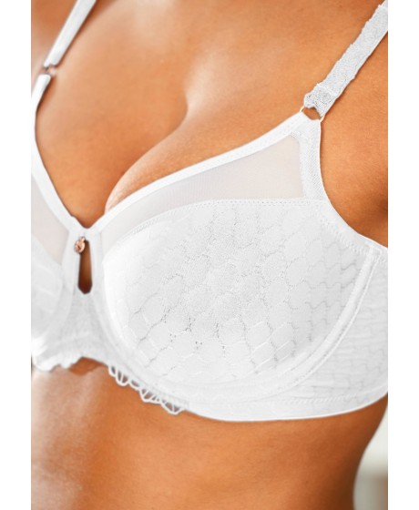 Triumph Azalea Florale W01