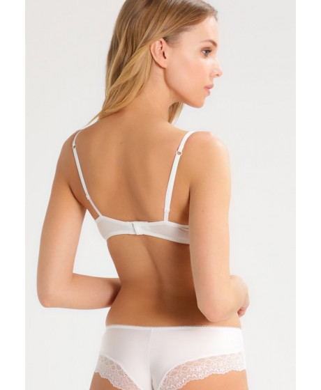 TRIUMPH TRUE CURVES FOREVER WHP