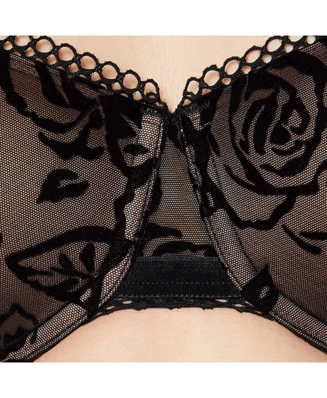 Triumph Velvet Rose Spotlight WHP