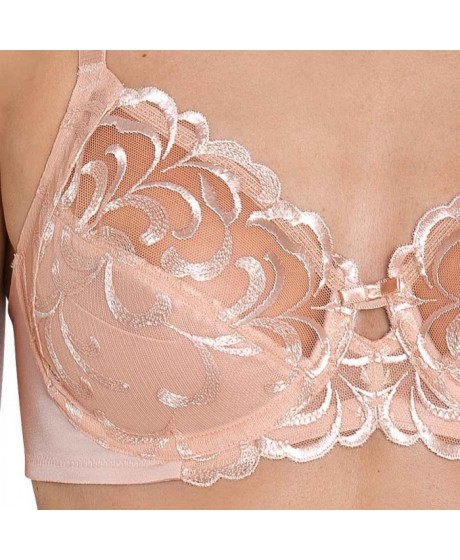 Triumph Modern Finesse W02