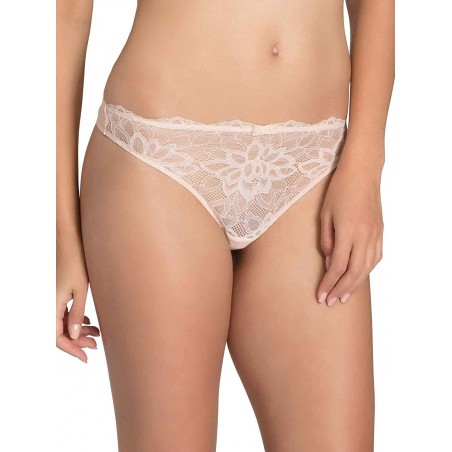 Triumph Dream Spotlight String