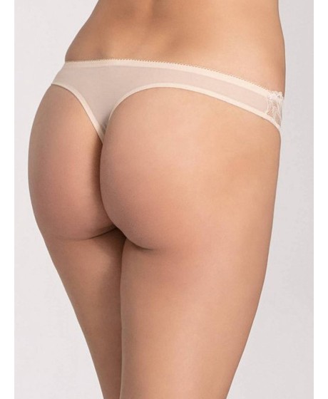 Triumph Dream Spotlight String