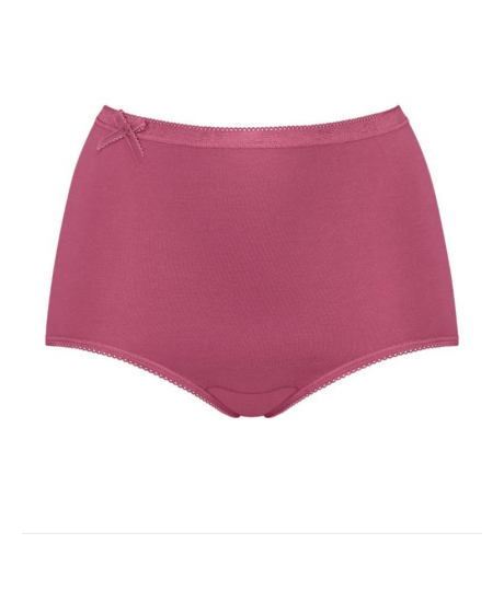 Sloggi Basic+ Gift Box Maxi