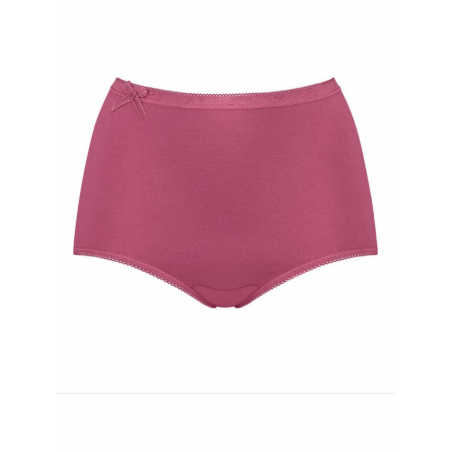 Sloggi Basic+ Gift Box Maxi