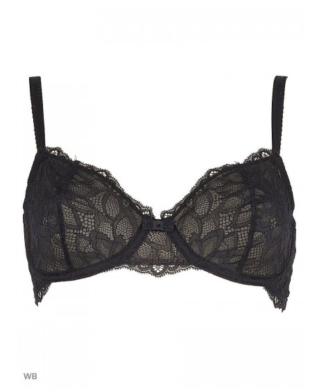 TRIUMPH DREAM SPOTLIGHT W