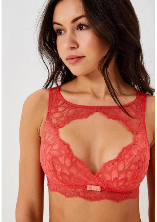 TRIUMPH DREAM SPOTLIGHT N