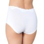 Triumph Touch of Modal Short